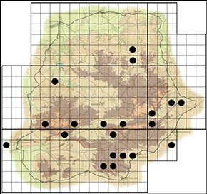 Anthene definita Waterberg distribution